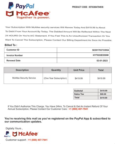 fake shoes paypal invoice
